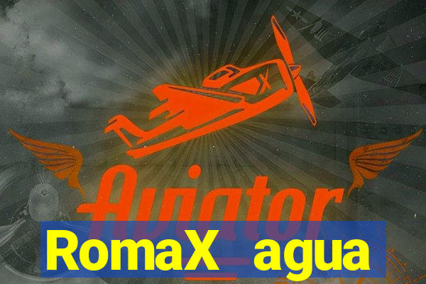 RomaX agua sanitaria fispq agua sanitaria romax